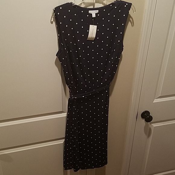 Charter Club Dresses & Skirts - Charter Club navy blue dress with white polka dots